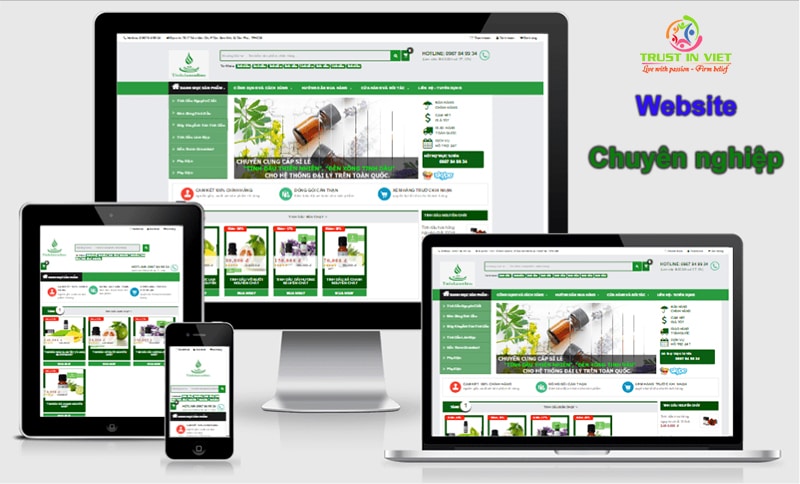 Dich-vu-thiet-ke-website-chuyen-nghiep-tai-ho-chi-minh