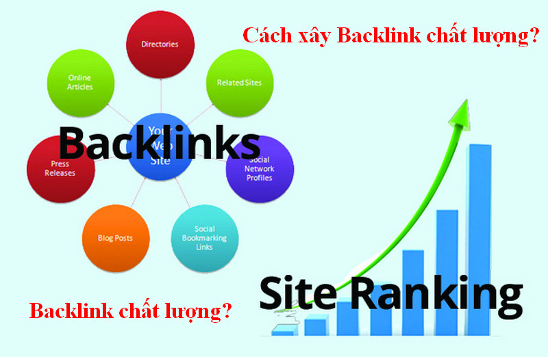 Sống với đam mê - Niềm tin vững bước backlink-chat-luong